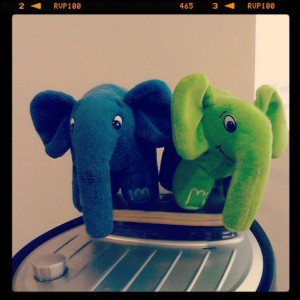 Elephants!