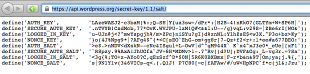 Exemplo de retorno do secret-key service do WordPress.org