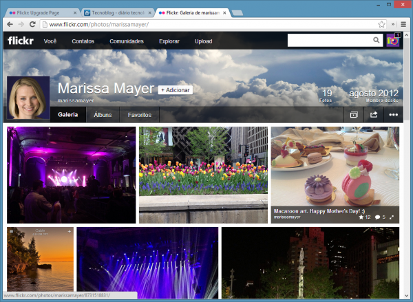 flickr-perfis
