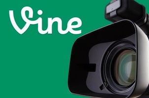 vine