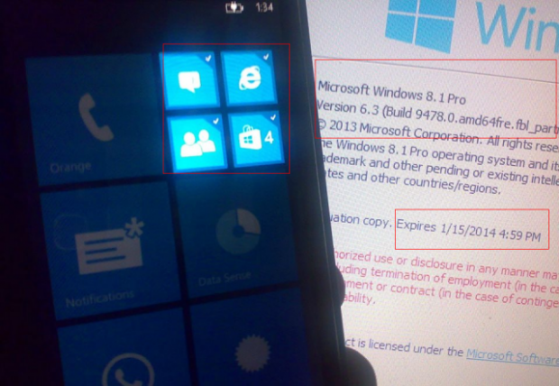 WP8-2