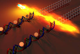chip-dna