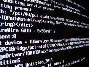 dia-do-programador