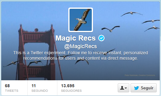 magic-recs