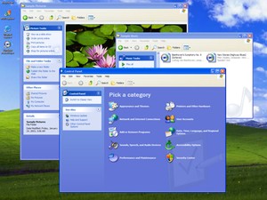 windows-xp
