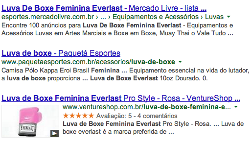 Exemplo da SERP para a busca Luva de Boxe Feminina Everlast
