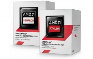 amd