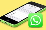 Chamada de voz pelo WhatsApp deve chegar em breve ao iOS