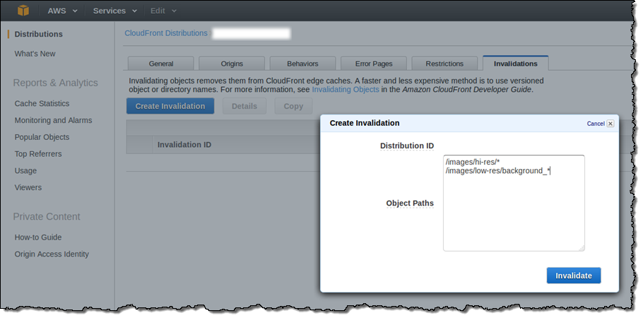 cloudfront_console_inval_example_1