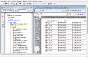 Oracle Forms 10g