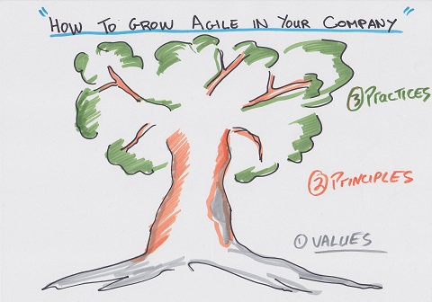 Como cultivar o Ágil na sua empresa: 1- Valores 2- Princípios 3- Práticas