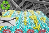 Brasileiros ajudam a criar telas biodegradáveis para celular