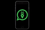 Assistente virtual para WhatsApp é criado