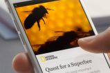 Facebook vai incluir vídeos na plataforma Instant Articles
