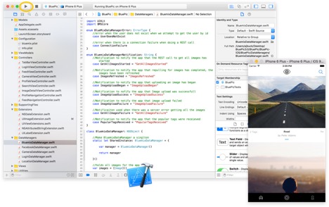 07-xcode-bluepic