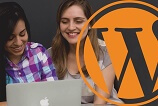 Apiki lança webinars voltados para diferentes temas do WordPress