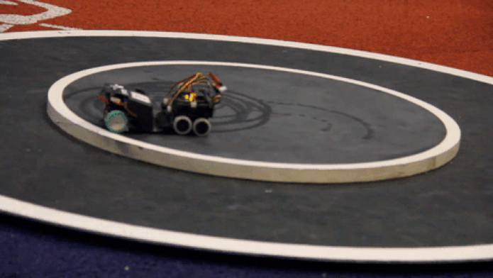 Luta de sumô entre robôs (Foto: Reprodução/Joana Pardal)