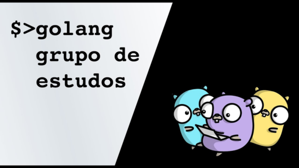 Validação e Integração Segura de JSON em APIs Go com json.RawMessage