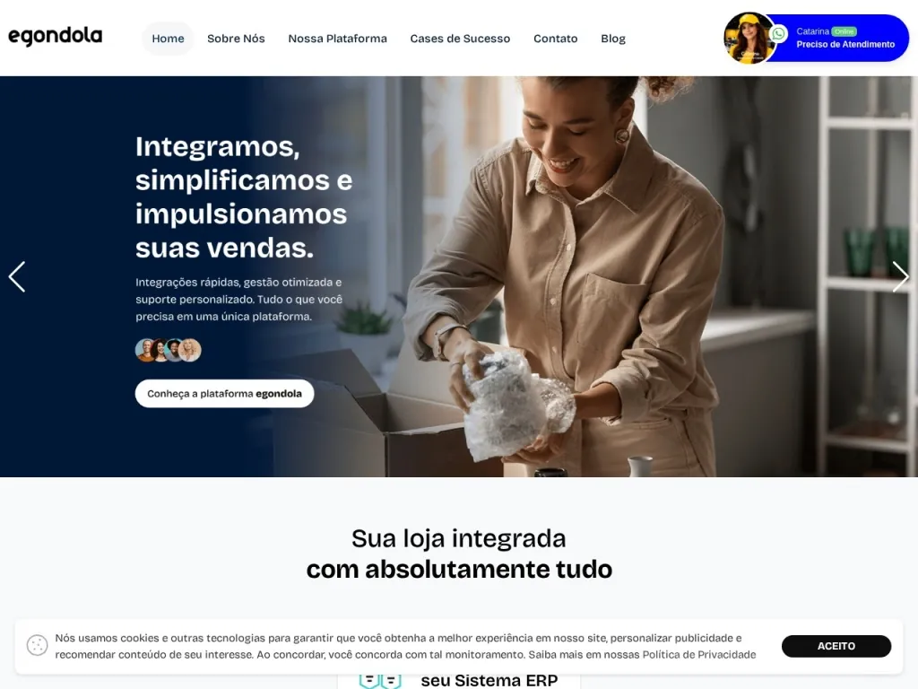Página inicial do site de egondola Plataformas eCom e Sistemas Web