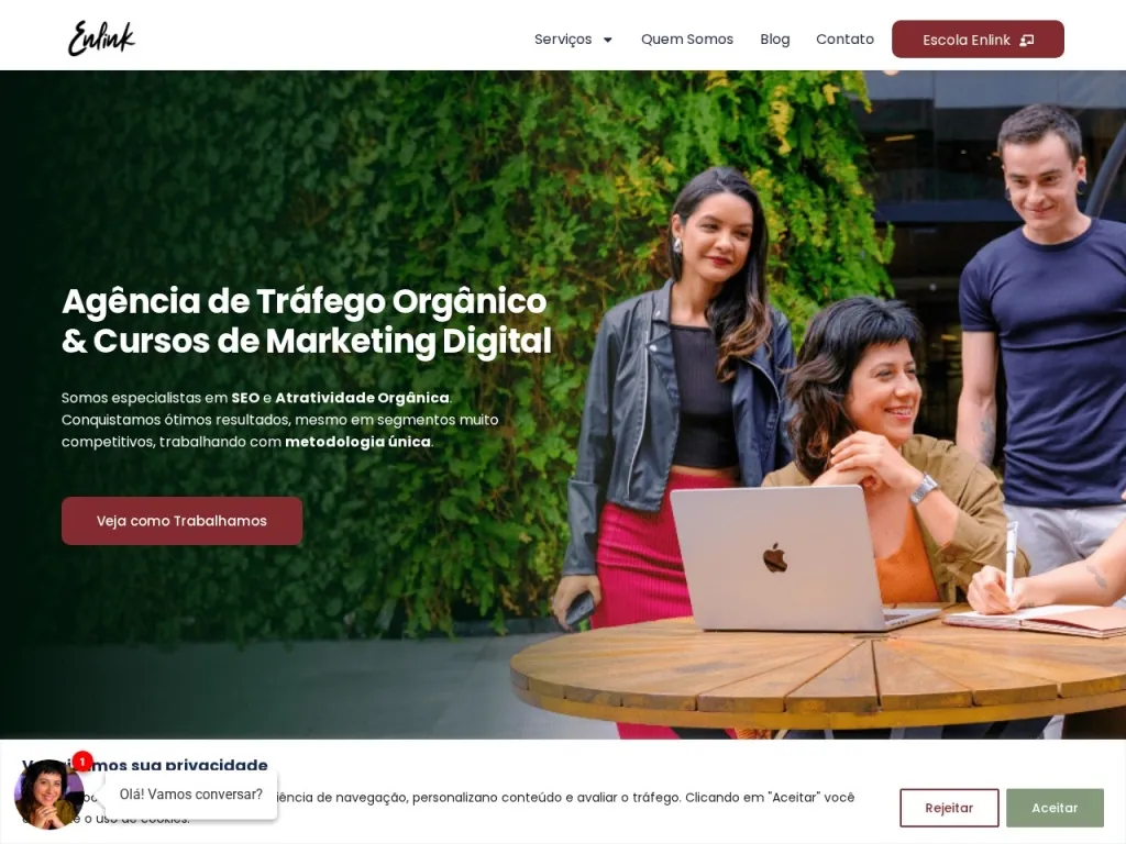 Página inicial do site de Enlink